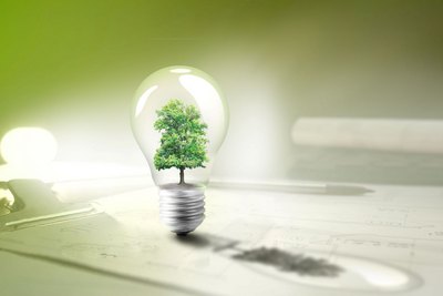 Ökologie im Bauwesen Glühbirne, in der sich ein kleiner Baum befindet steht auf einem Tisch mit Bauplänen