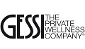 Logo der GESSI Germany GmbH